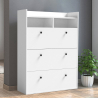 Ruimtebesparende verticale schoenenkast met 3 deuren 63x24x120 cm 18 paar schoenen Curpes Verkoop