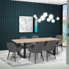 Set van 6 fluwelen design stoelen en tafel in industriële stijl 200x80 cm Samsara XL1 Korting