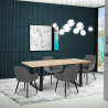 Set van 4 fluwelen design stoelen en tafel in industriële stijl 160x80 cm Samsara M2 Korting