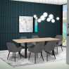 Set van 6 fluwelen design stoelen en tafel in industriële stijl 180x80 cm Samsara L2 Korting
