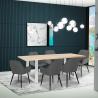 Set van 6 fluwelen design stoelen en tafel in industriële stijl 180x80 cm Samsara L3 Korting