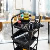 Professionele kappers trolley ook voor schoonheidsspecialisten Pixie Aanbod