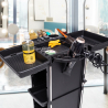 Professionele kappers en schoonheidsspecialisten trolley Bangs Aanbod
