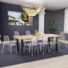 Industriële set met eettafel 220x80 cm en 8 transparante designstoelen Virgil Keuze