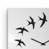 Vierkante wandklok 50 x 50 cm minimalistisch design zwaluwen Flock Kortingen