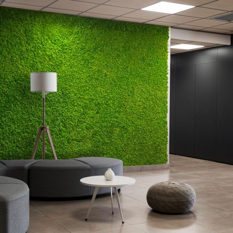 Plantenfoto's gestabiliseerd 4 60x40cm panelen GreenBox Kit Lichene
