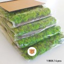 Gestabiliseerde plantenpanelen 4 panelen 60x40cm GreenBox Kit Lichen Afmetingen