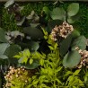 Plantenfoto's bloemen gestabiliseerde muurplanten ForestMoss Persephone Prijs