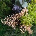 Plantenfoto's bloemen gestabiliseerde muurplanten ForestMoss Persephone Kosten