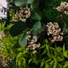 Plantenfoto's bloemen gestabiliseerde muurplanten ForestMoss Persephone Aankoop