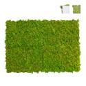 Gestabiliseerde plantenpanelen 4 panelen 60x40cm GreenBox Kit Lichen Verkoop